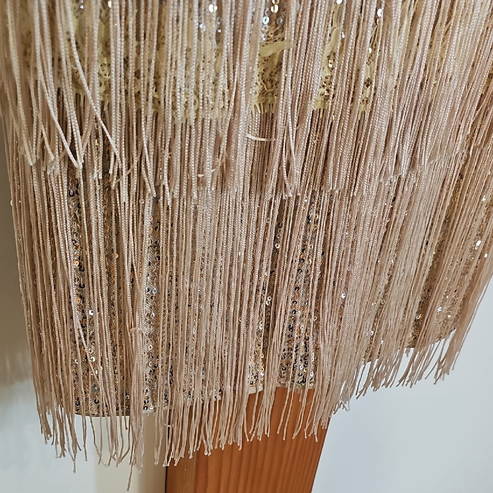 Nude and Gold Sequin Fringe Party Dress - Size Large - Picture 5 of 12